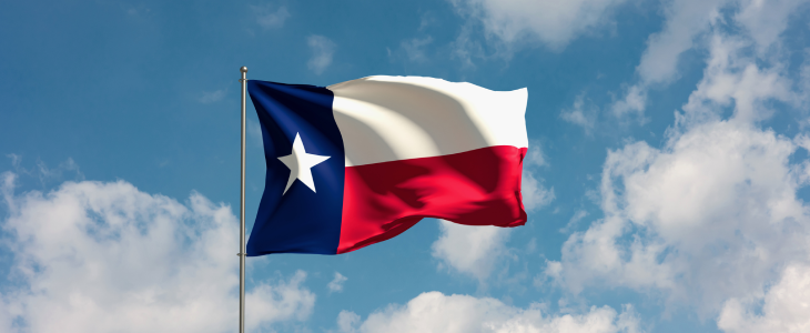 Texas flag